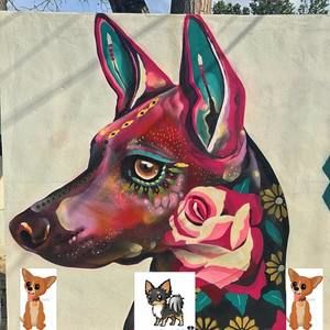 Meet your Posher, Maricela